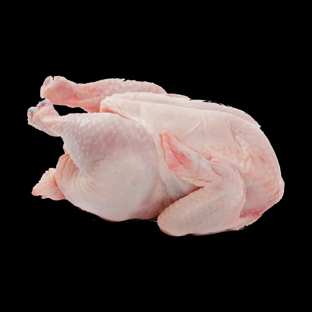 Chicken Meat - Imagem 1