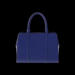 Blue Women's Handbag